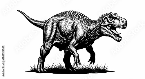 tyrannosaurus rex dinosaur vector