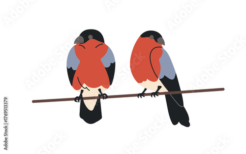 Birds couple perched on wire cable. Bullfinches, resting, sleeping, sitting o...