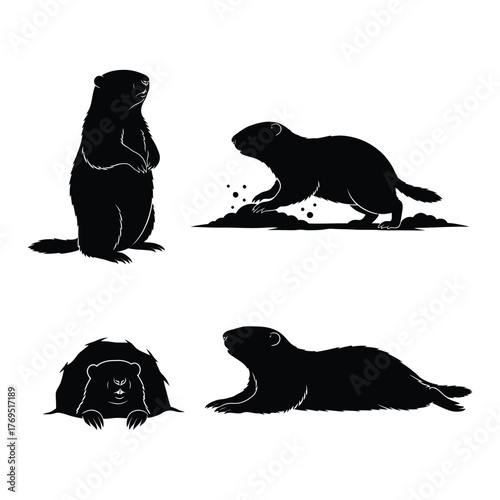 Groundhog silhouette collection cute mammal wildlife animal poses vector art illustration