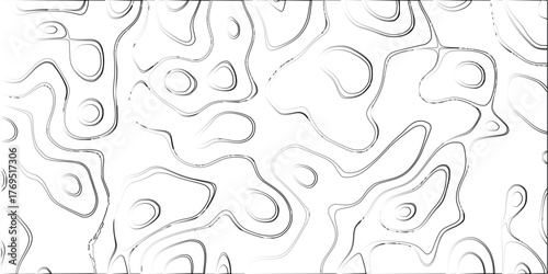 Organic contour lines in grayscale with a bright white background, evoking a clean and modern abstract topographic map design element