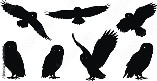 Black owl silhouette vector set, flying and perched owl design, wildlife bird illustration for tattoo, logo, art, and nature concept
