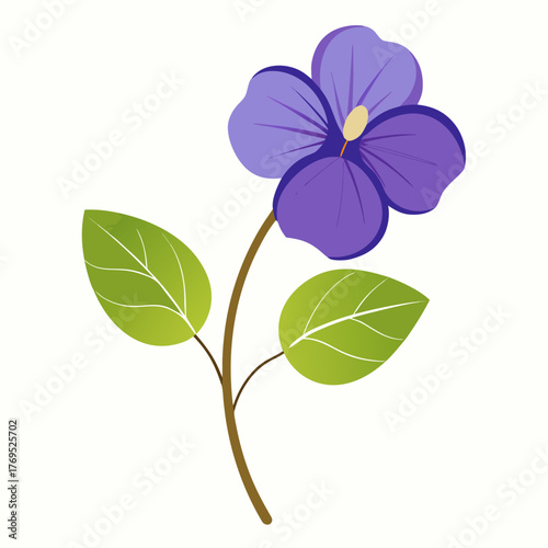 honesty flower lunaria annua