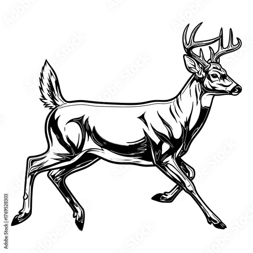 white tail deer hunting illustration logo vector image t shirt