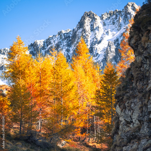 Fall colours in the mountains, Autumn outdoor, hiking in Alps