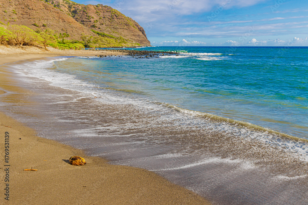 Obraz premium Sandy Shore of Kawilli Beach and Lamaloa Head, Halawa Beach Park, Molokai, Hawaii, USA