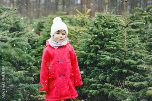 Adorable little toddler girl with Christmas tree on fir tree cutting plantation . Happy child in winter fashion clothes choosing, cut and felling own xmas tree in forest, family tradition in Germany