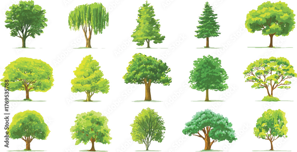 Fototapeta premium collection of fifteen diverse green trees with brown trunks and detailed foliage on white background.