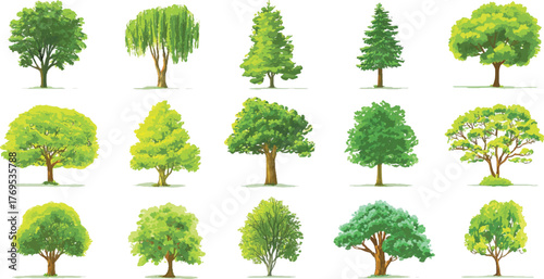 collection of fifteen diverse green trees with brown trunks and detailed foliage on white background.
