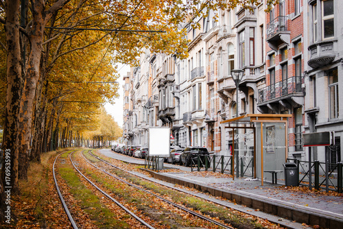 European city street with tram tracks, autumn trees along the street, fallen leaves on rails and pavement, parked cars along the road, urban buildings and sidewalks, aerial view.