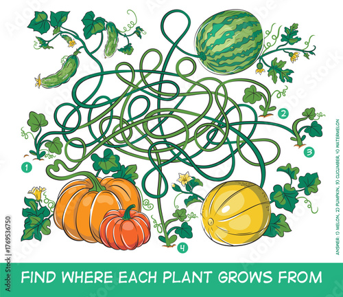 A fun maze puzzle. Help unravel the plants. Vector illustration for children