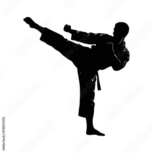 Silhouette of a karate athlete with a white background