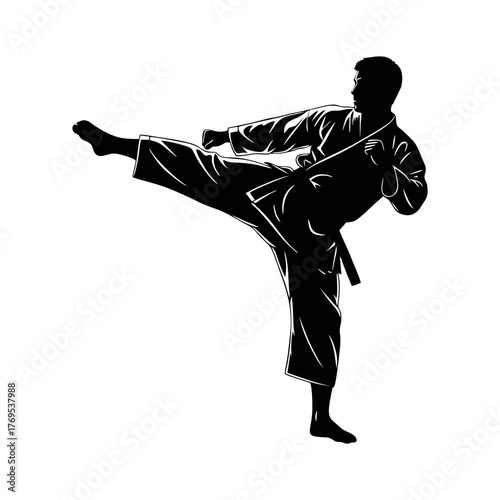 Silhouette of a karate athlete with a white background