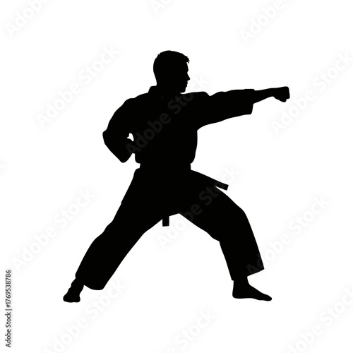 Silhouette of a karate athlete with a white background