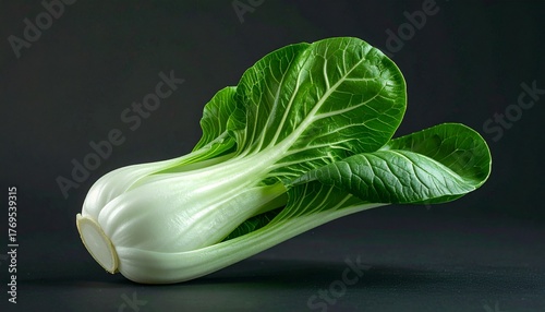 Studio Shot of Bok Choy on Dark Background