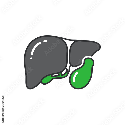 Gallbladder icon illustration in simple vector style with colors  