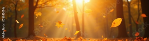 Leaves fall from trees in a forest with sun shining through the trees