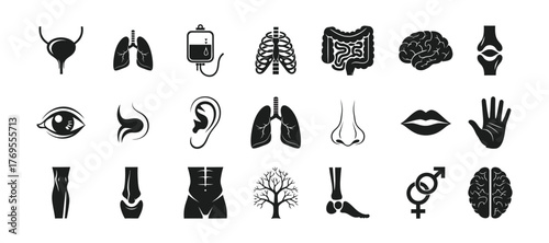 Collection of black silhouettes of fresh fruits including apple banana plum pear grapes and kiwi slice