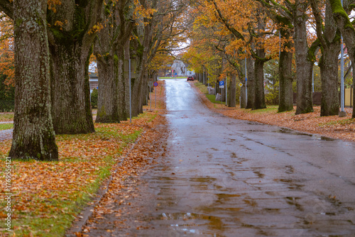 Autumn street with trees and wet asphalt after rain, peaceful small town road lined with colorful fall leaves, quiet seasonal landscape background
