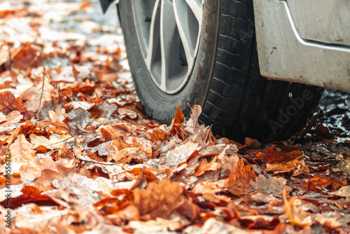 Car tire on wet autumn leaves after rain, close-up of vehicle wheel on fall road, seasonal transportation and safety concept background