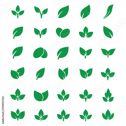 leaf, green, icon, set, collection, nature, plant, sprout, growth, organic, eco, environment, fresh, simple, silhouette, design, element, foliage, botanical, spring, summer, healthy, natural, clean, m