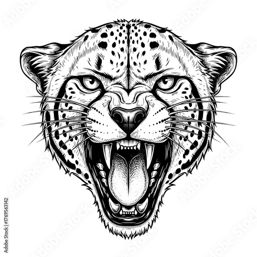 Detailed illustration of a cheetah's head, roaring with mouth open, showing teeth and tongue, in black and white.