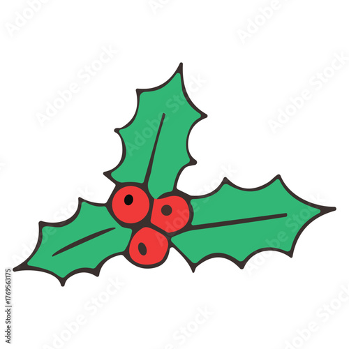 Christmas Holly Berries Vector Illustration
