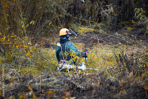Billede på lærred Forestry worker cutting brushwood with trimmer in autumn forest, safety gear and