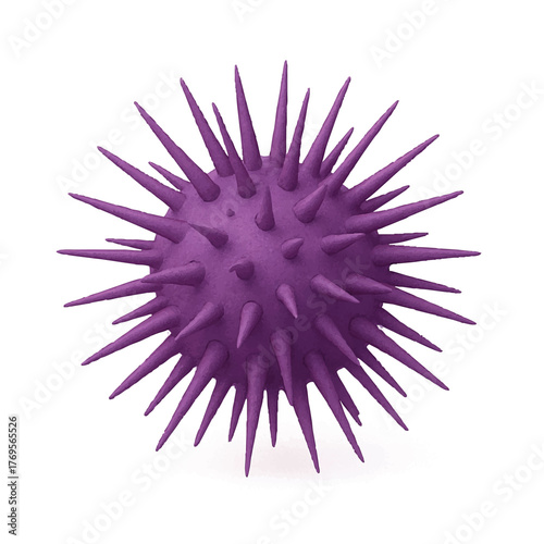 purple spiked sea urchin sphere isolated white background