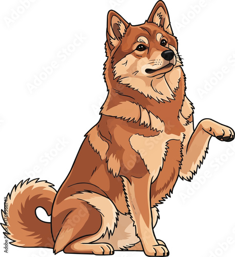 Finnish Spitz dog raising paw cute interaction vector illustration