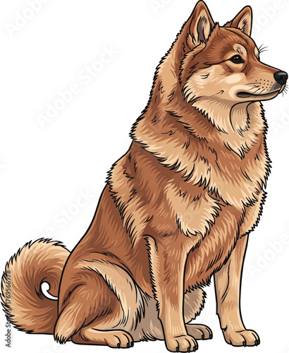 Finnish Spitz dog sitting side view vector illustration