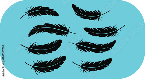 A collection of eight black feathers arranged in a scattered pattern against a vibrant cyan background, creating a visually striking and artistic composition