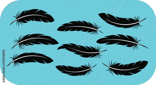 A collection of nine black feathers scattered across a vibrant cyan background, creating a visually striking and artistic composition