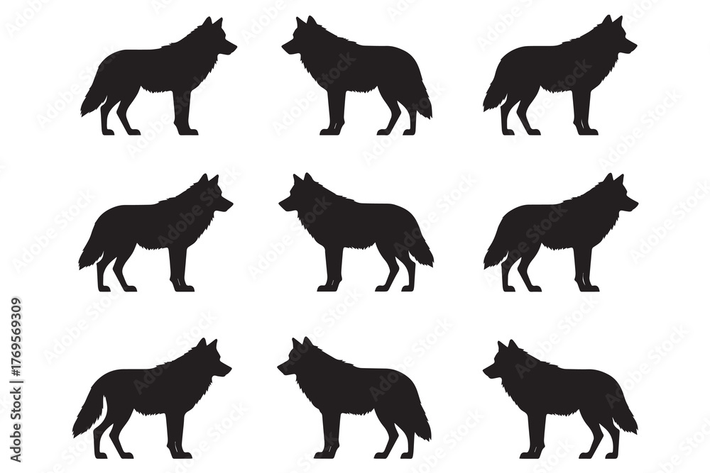 Fototapeta premium Silhouette of a Wolf Pack in the Wild on a White Background