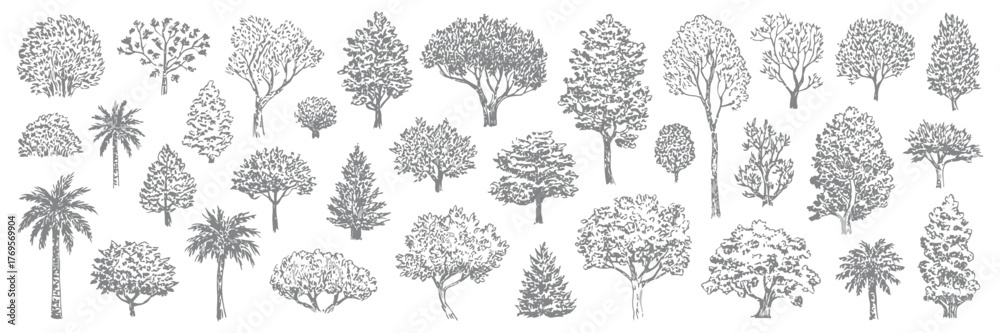 Fototapeta premium Minimal CAD Tree Vector Set, Side View Line Drawings of Tropical and Oak Trees for Architecture, Landscape, Urban Planning, Blueprint, Presentation, and Garden Design Projects