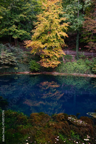 Herbst am Blautopf
