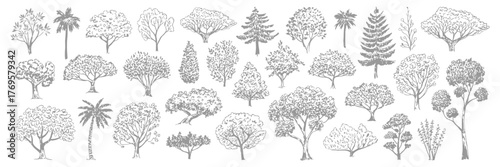 Minimal CAD Tree Vector Set, Side View Line Drawings of Tropical and Oak Trees for Architecture, Landscape, Urban Planning, Blueprint, Presentation, and Garden Design Projects