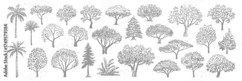 Minimal CAD Tree Vector Set, Side View Line Drawings of Tropical and Oak Trees for Architecture, Landscape, Urban Planning, Blueprint, Presentation, and Garden Design Projects