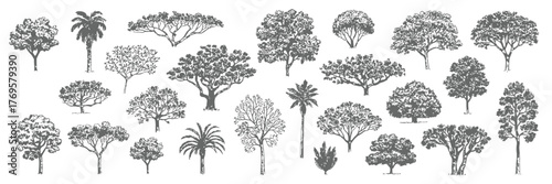 Minimal CAD Tree Vector Set, Side View Line Drawings of Tropical and Oak Trees for Architecture, Landscape, Urban Planning, Blueprint, Presentation, and Garden Design Projects