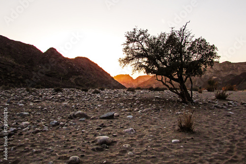 Golden Mountains in the barren landscape of the Fish River Canyon at Dawn.