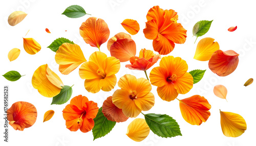 Tropical Floral Petals Flying and Falling Gracefully