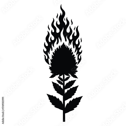 Burning Plant Silhouette Symbolizing Danger and Environmental Issues Black and White