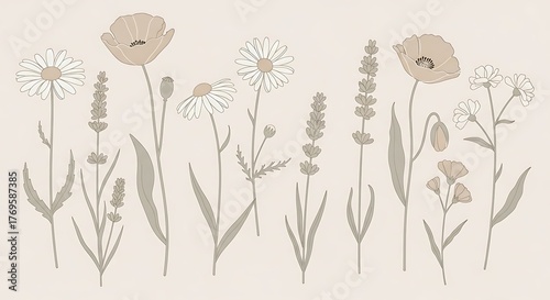 Elegant Botanical Illustration - A Serene Collection of Wildflowers and Lavender.