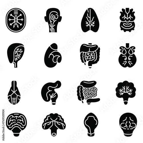 Collection of black and white icons representing human organs and anatomy for medical and educational use
