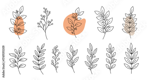 A collection of delicate line art illustrations of branches and leaves with subtle organic shapes.