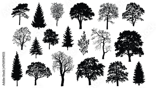 Tree Silhouette Vector – Isolated Forest Trees on White Background for Landscape Design, Architecture, Garden Planning, Urban Projects, Educational Materials, or Digital Illustrations
