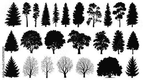 Trees Set Silhouette Vector – Coniferous Forest and Isolated Tree on White Background for Landscape Design, Architecture, Garden Planning, Urban Projects, Educational Materials, or Digital Illustratio
