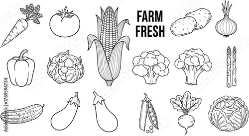 Farm fresh vegetables in black and white outline vector illustration