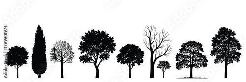 Tree Silhouette Vector – Isolated Tree on White Background for Landscape Design, Architecture, Garden Planning, Urban Projects, Educational Materials, or Digital Illustrations