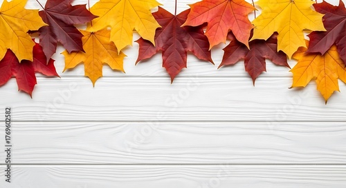 Fototapeta Naklejka Na Ścianę i Meble -  Autumn maple leaves in fall colors arranged on a white wooden surface isolated on transparent background silhouette