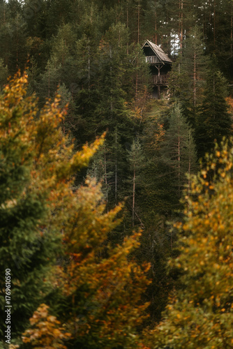 Autumn Forest Landscape with Rustic Tree House